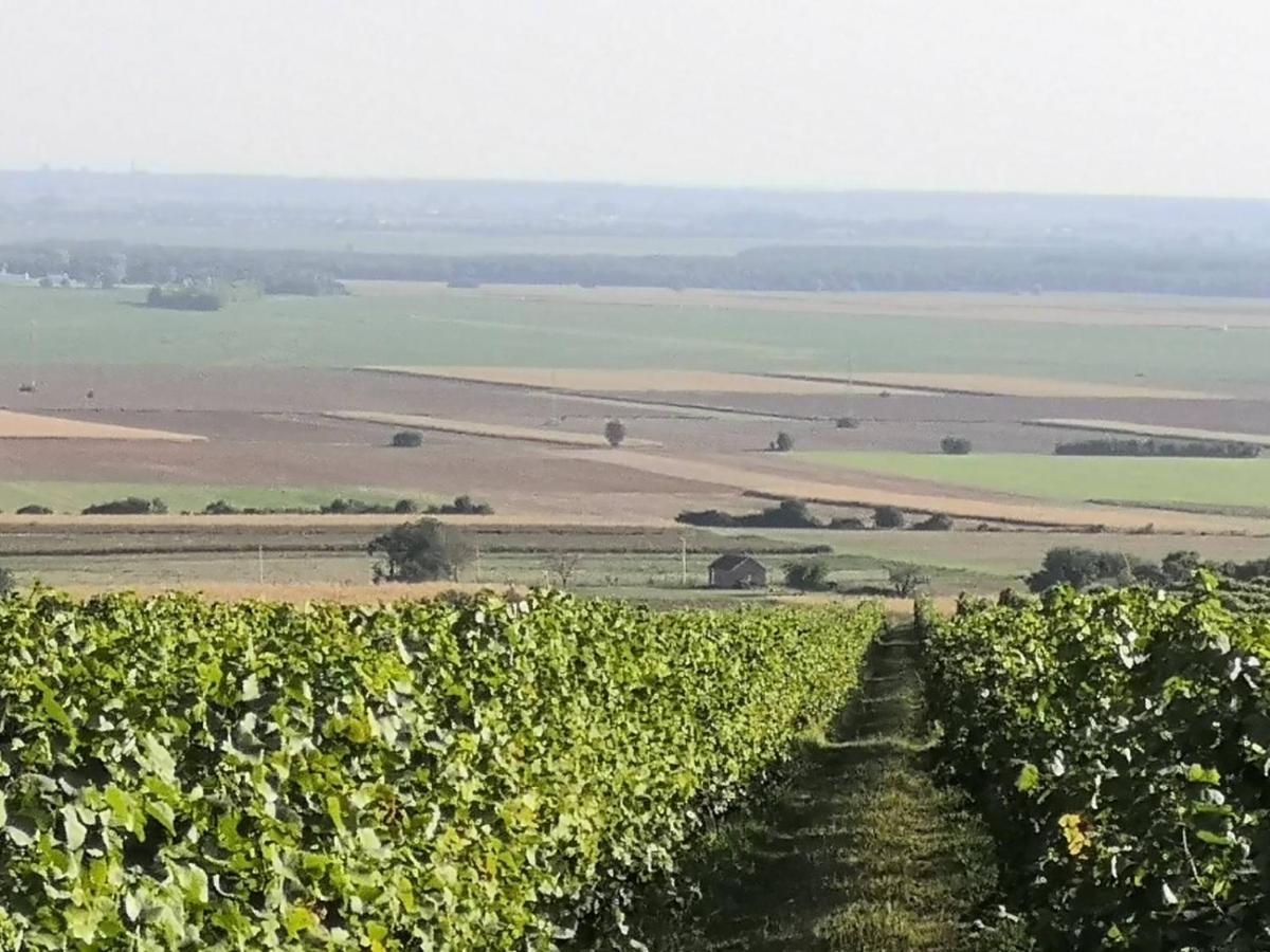 Вилла Kuca Za Odmor Kiss-Karanac,Baranja Экстерьер фото