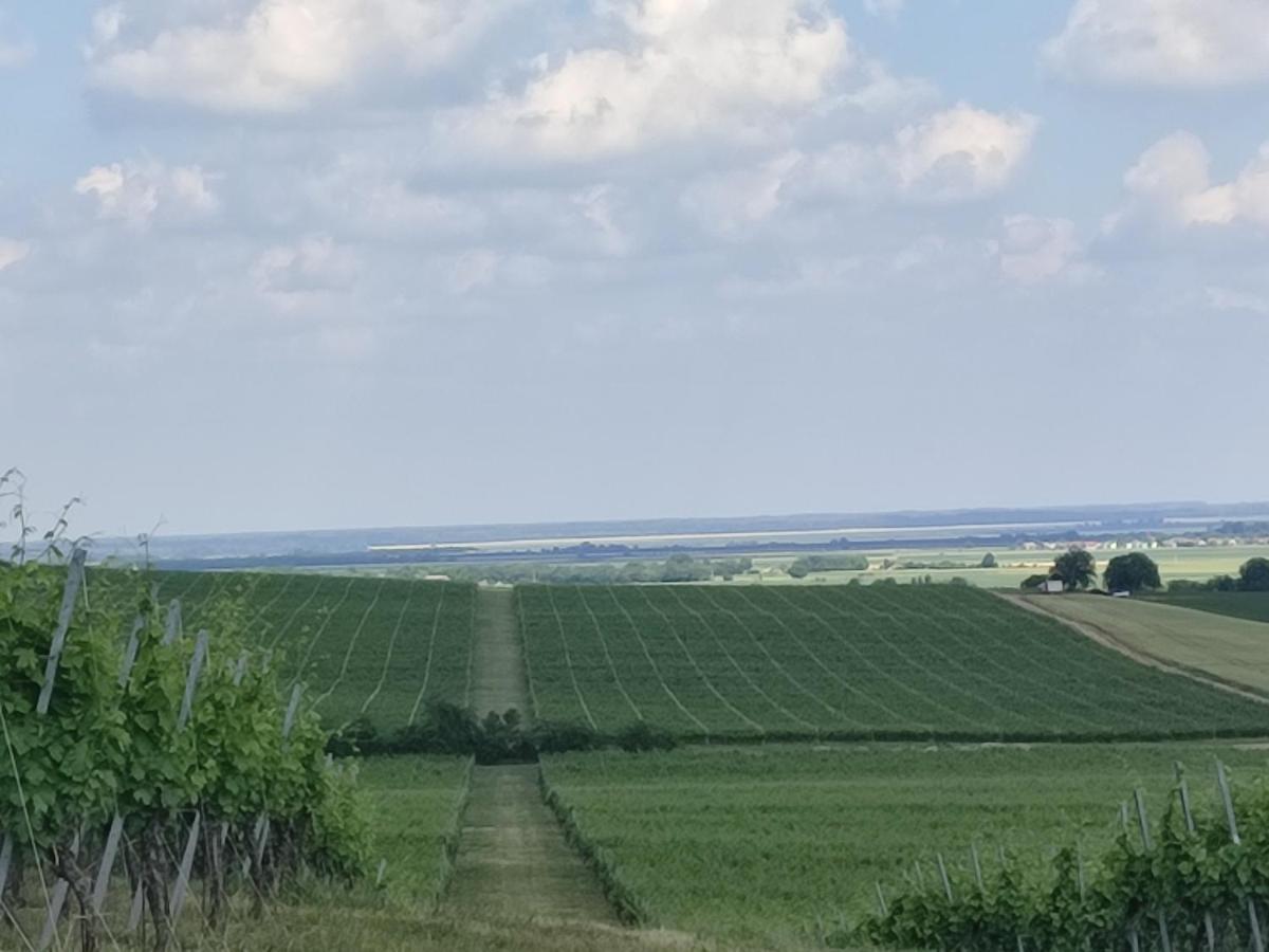 Вилла Kuca Za Odmor Kiss-Karanac,Baranja Экстерьер фото